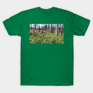 Beautiful Nature T-Shirt